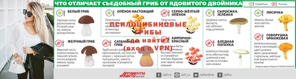 гидра Карталы