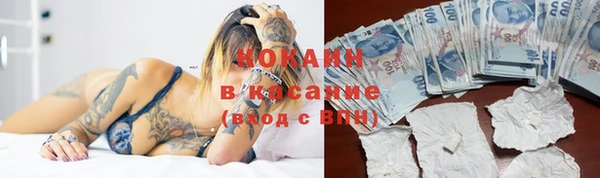 гашиш Касимов