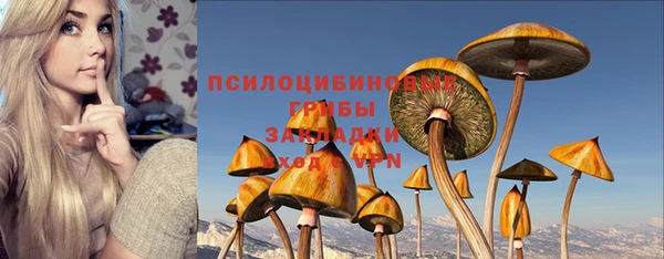 МДПВ Киренск